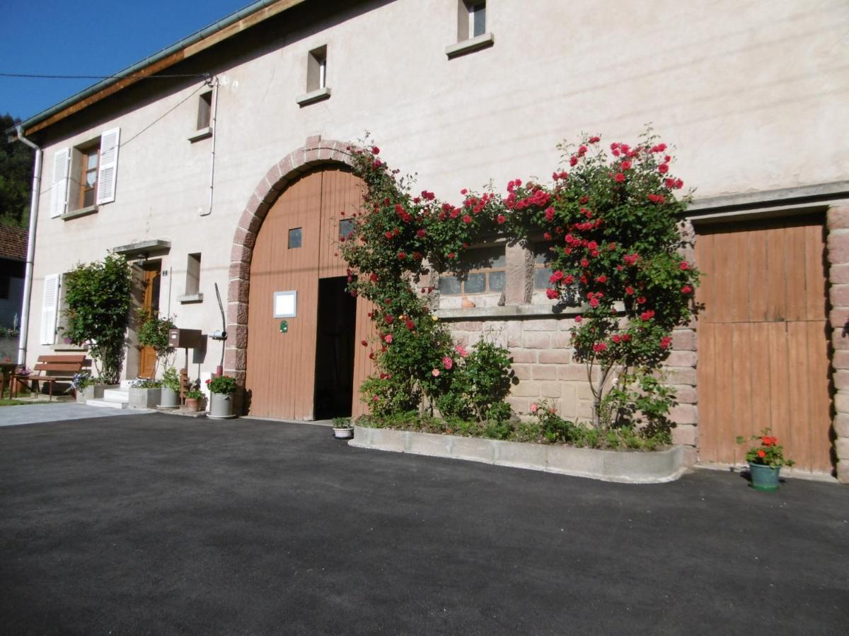 Chez Catherine Et Roger Brouvelieures Εξωτερικό φωτογραφία