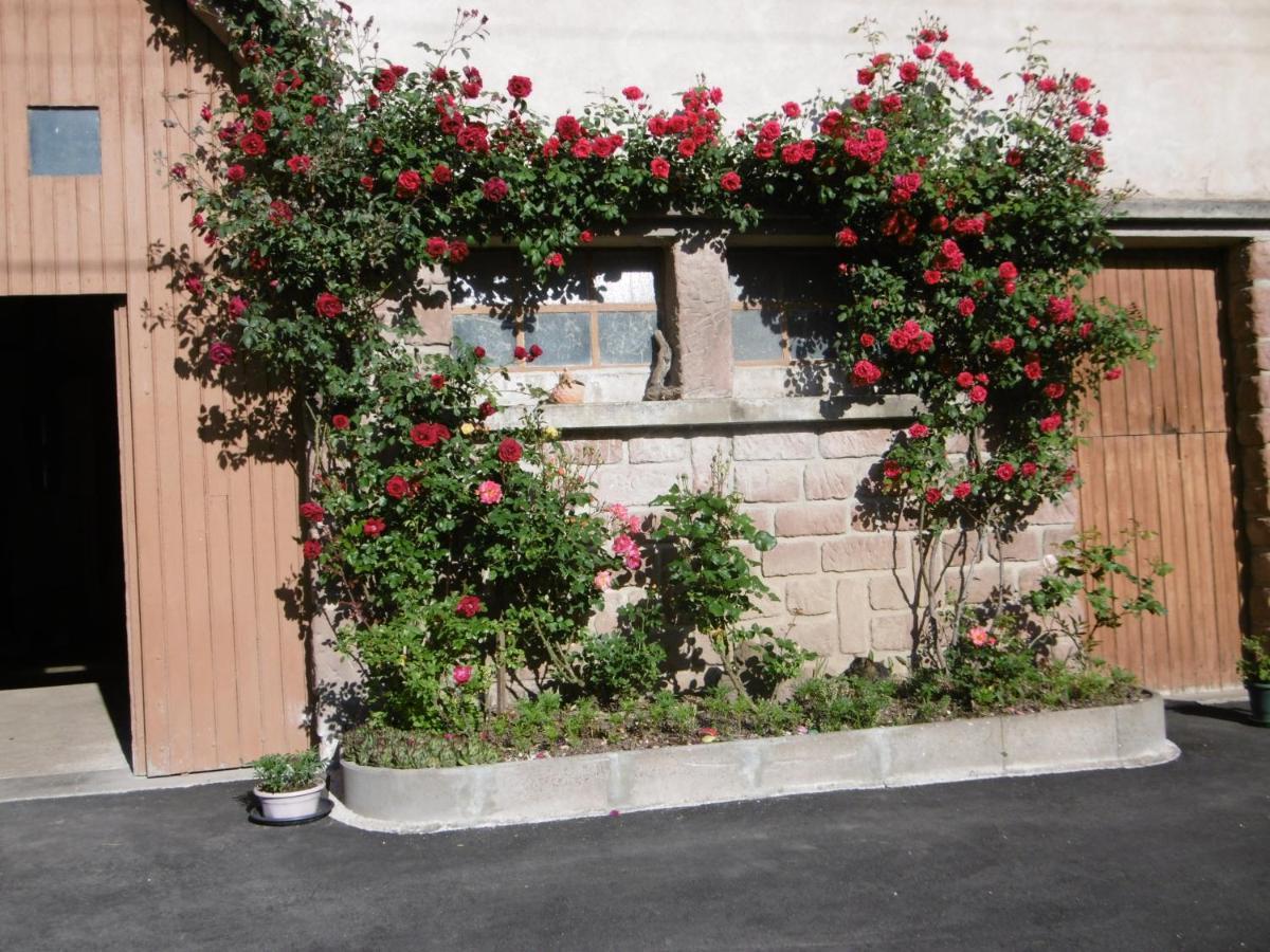 Chez Catherine Et Roger Brouvelieures Εξωτερικό φωτογραφία